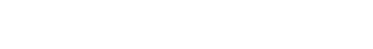 Code 2040 logo