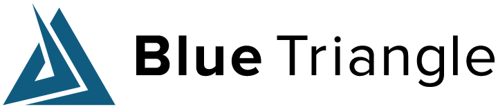 Blue Triangle Horizontal Logo