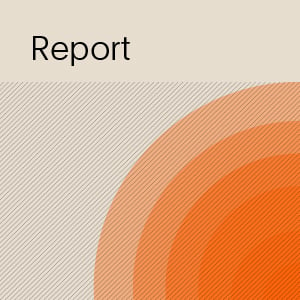 2020/21 Global Developer and ITOps Report - Digital Pressures in 2020