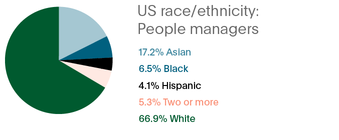 US race/ethnicity: People Managers