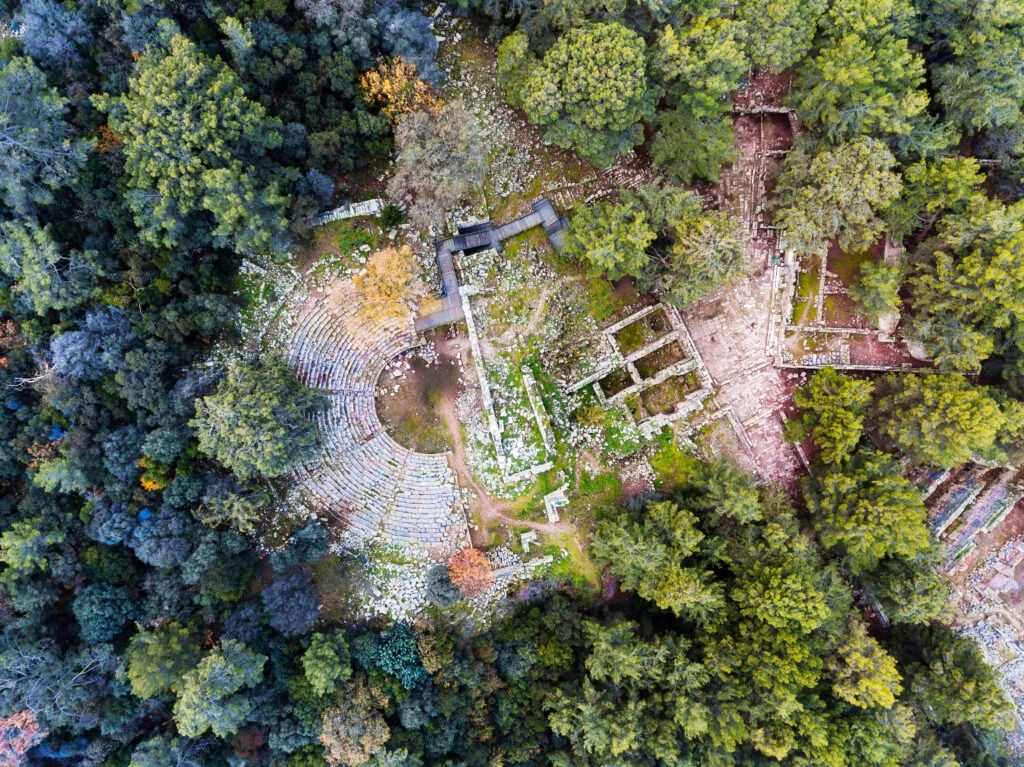 Arial view of ruins in the woods.