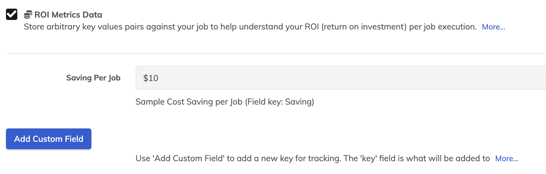 ROI metrics custom fields